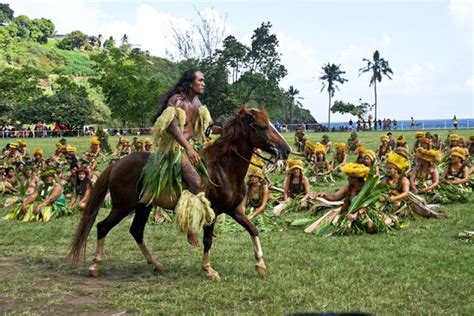 didier tabary famille|Fatu Hiva Thoroughbred Horse Profile